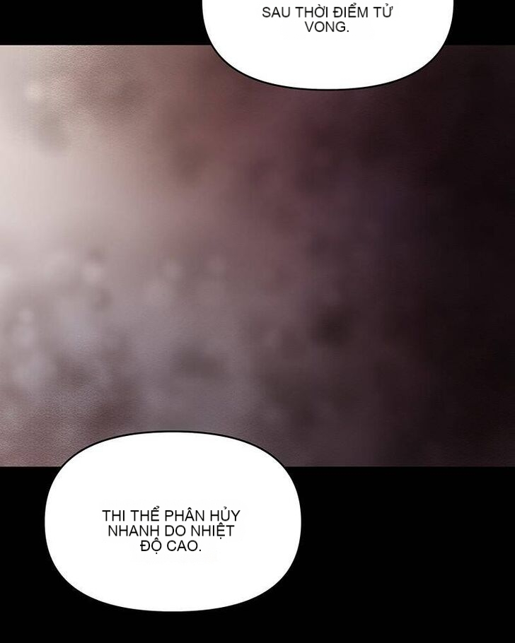 Chapter 13, page 13