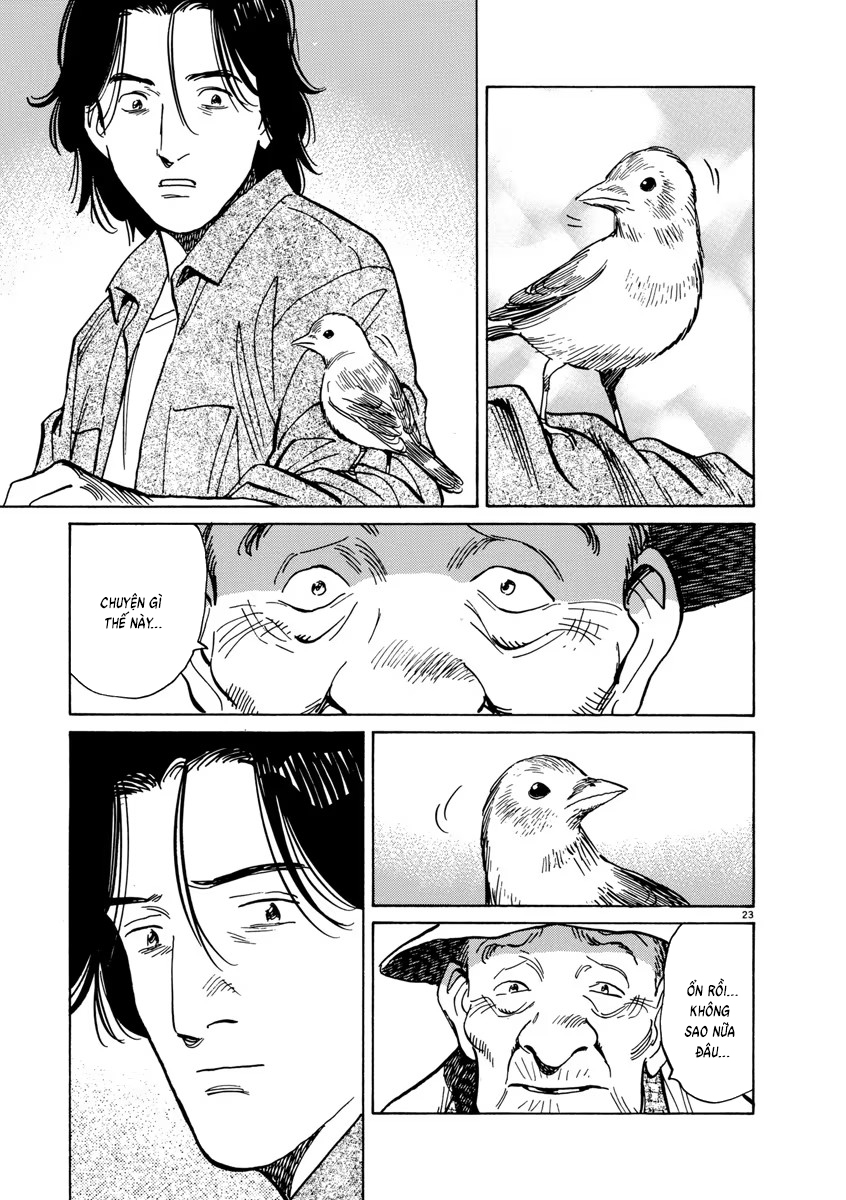 Chapter 62, page 24