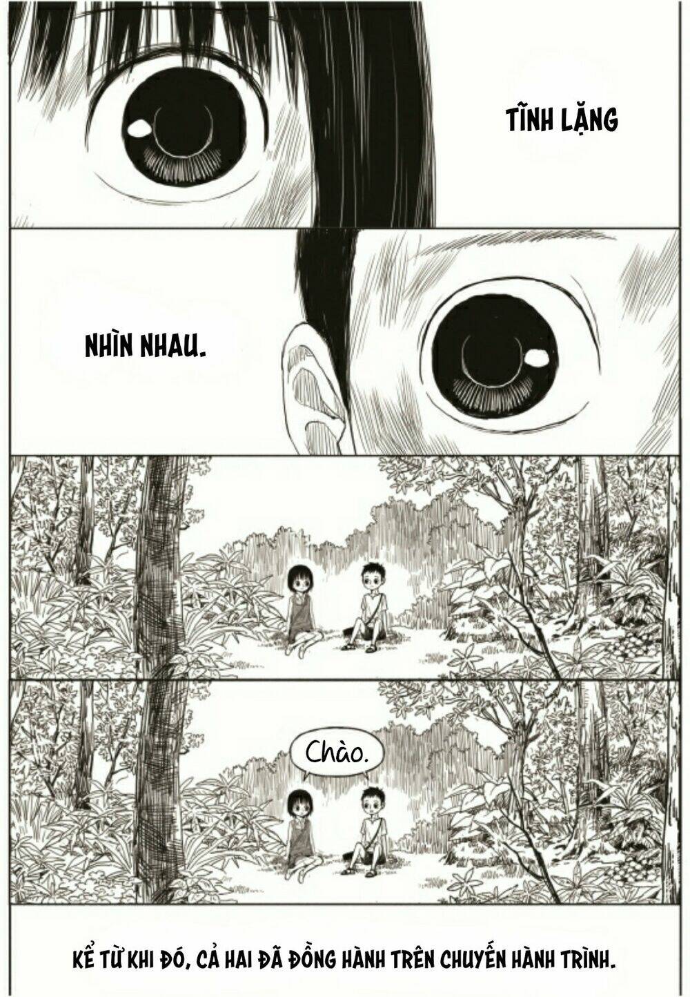 Preview page 55