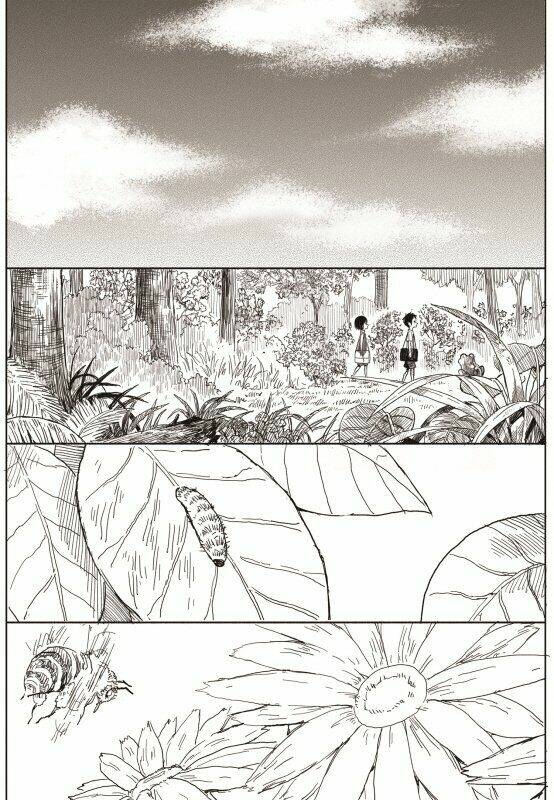 Preview page 58