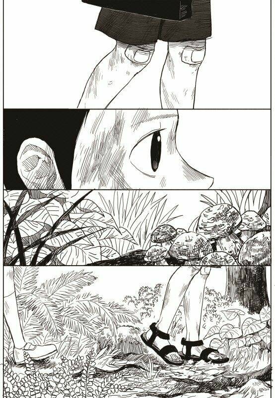 Preview page 62