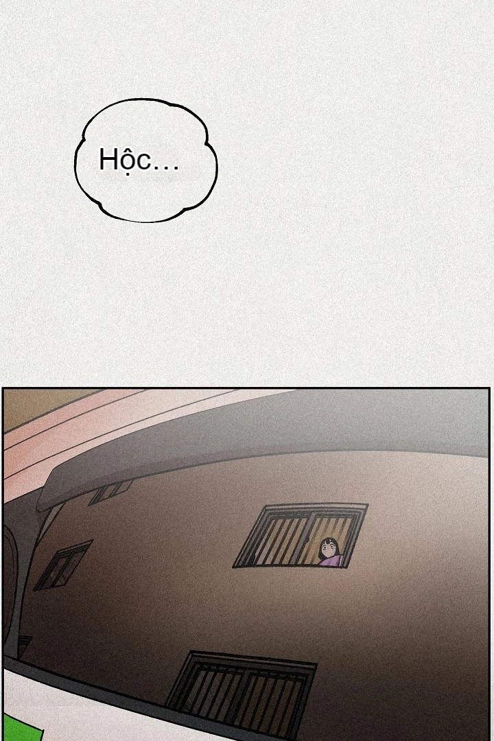 Preview page 48