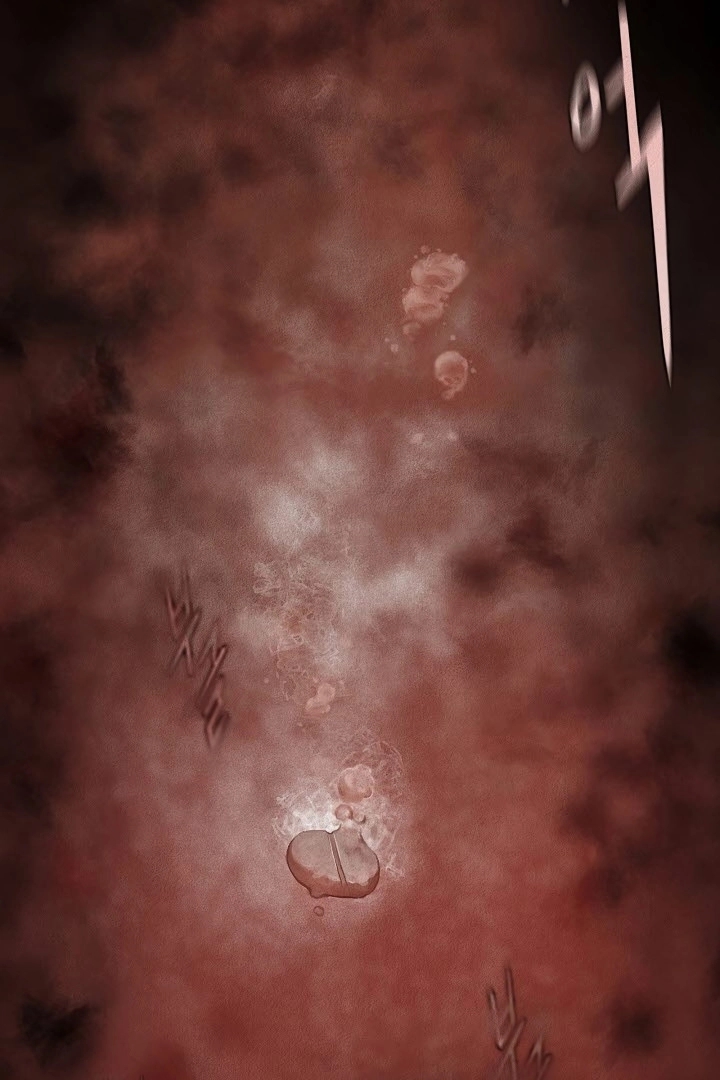 Preview page 66