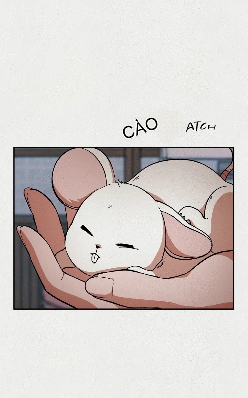 Chapter 16, page 102
