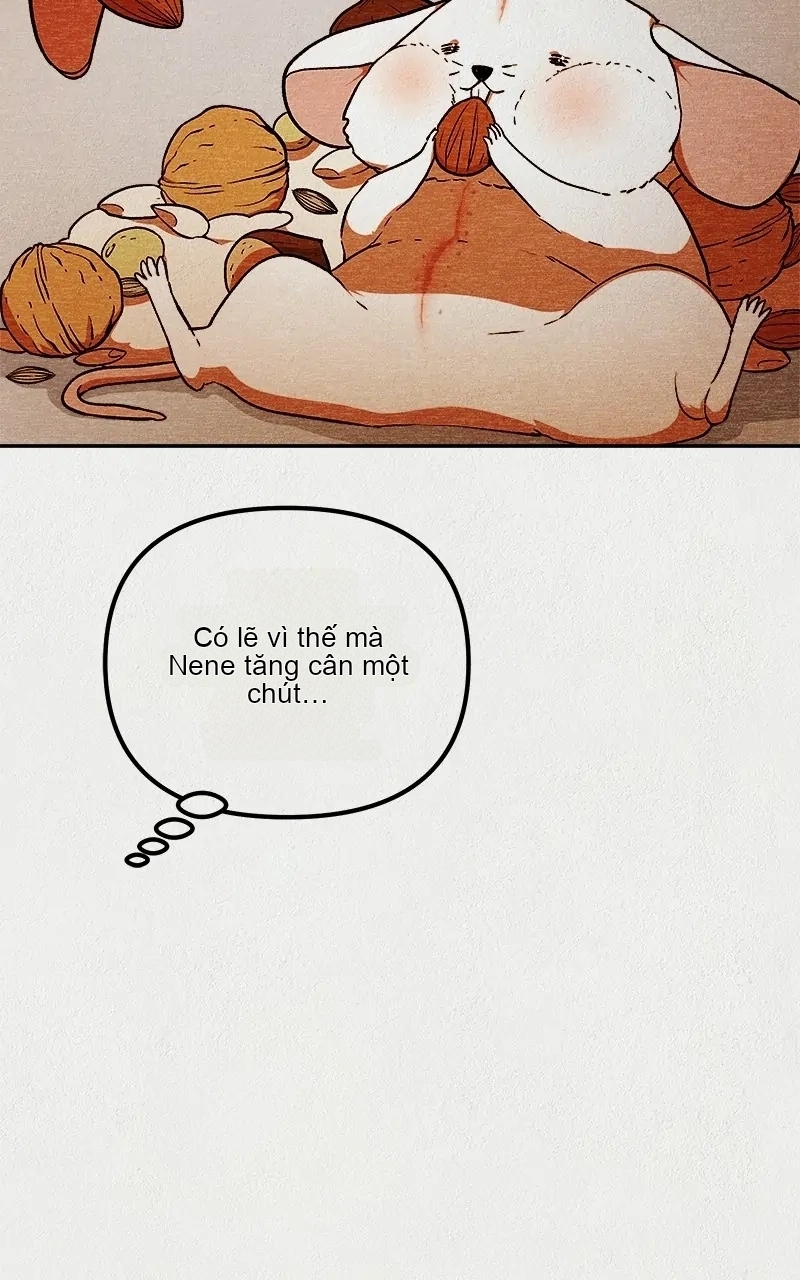 Chapter 27, page 19