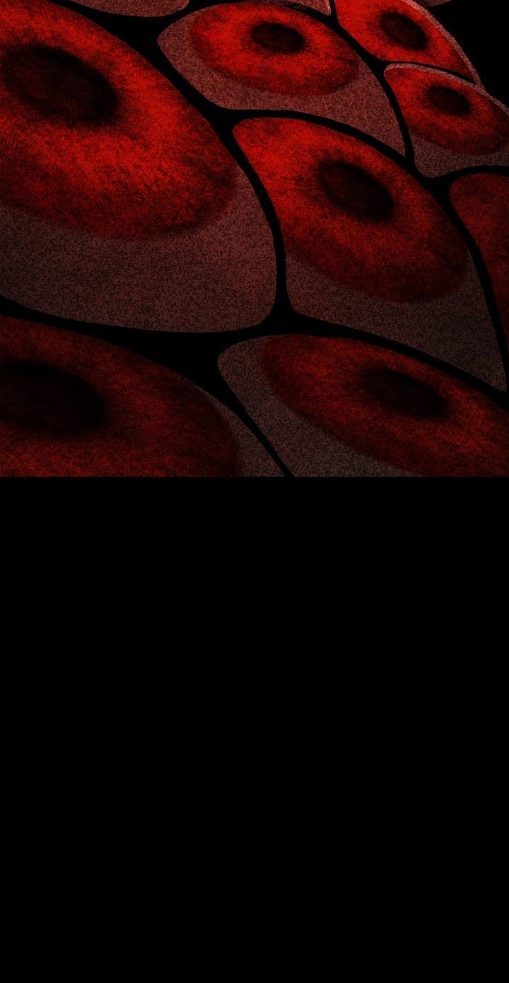 Chapter 3, page 34